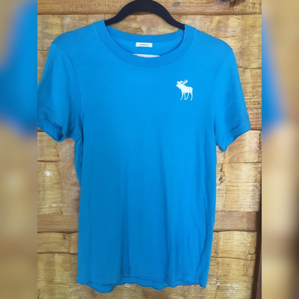 Abercrombie & Fitch Logo Tee